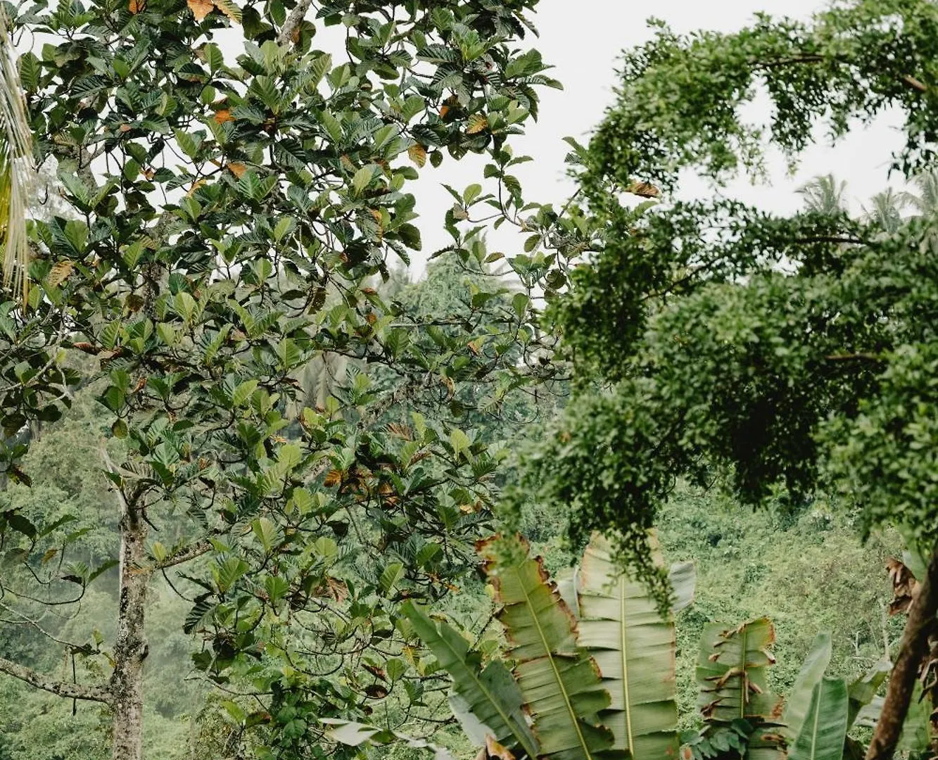 Lerosa Valley Resort Ubud  Indonesia